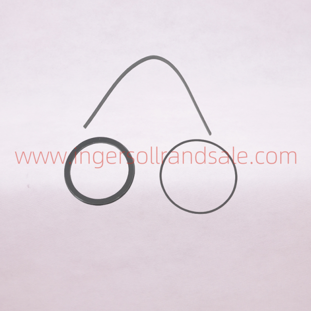 1298305 Hoerbiger Air Compressor OEM Parts PBED Cylinder Repair Kit