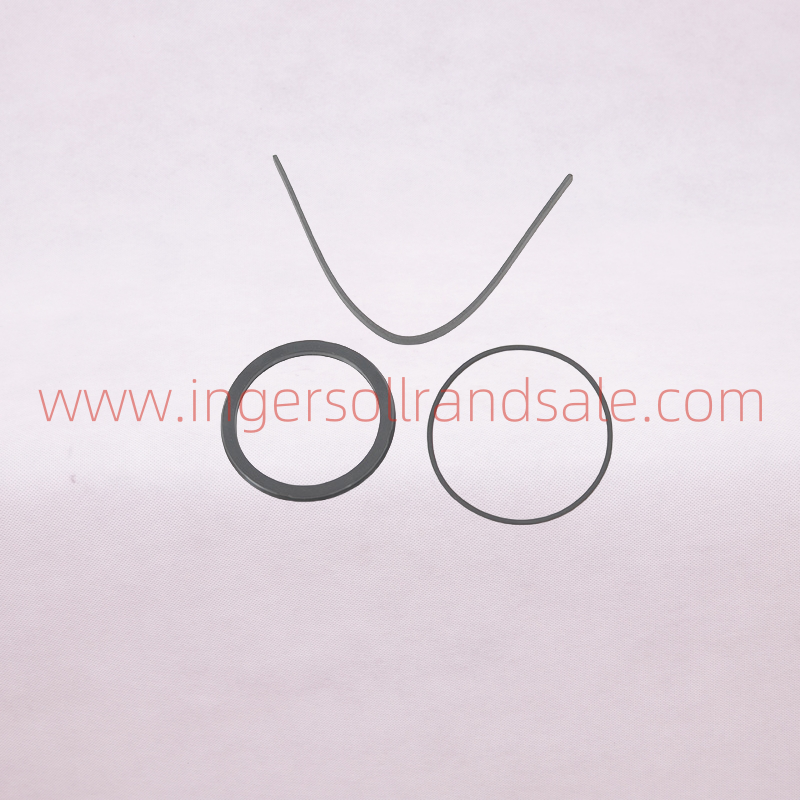 1298305 Hoerbiger Air Compressor OEM Parts PBED Cylinder Repair Kit