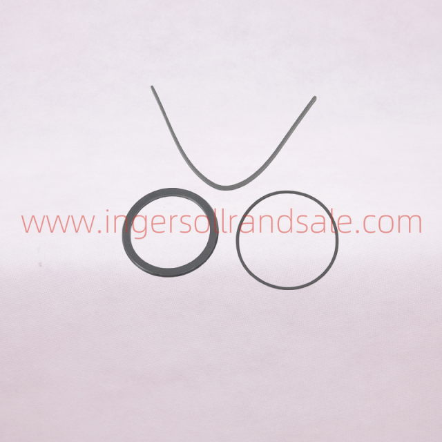 1298305 Hoerbiger Air Compressor OEM Parts PBED Cylinder Repair Kit
