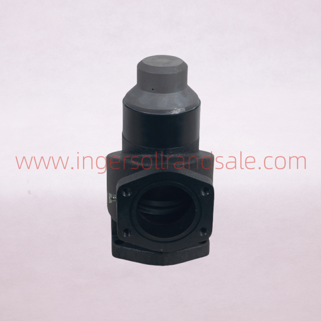1301703 Hoerbiger Air Compressor OEM Parts Minimum Pressure Valve(25-AI2183-0520)