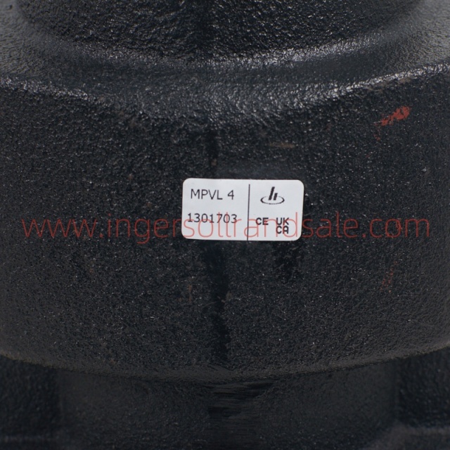 1301703 Hoerbiger Air Compressor OEM Parts Minimum Pressure Valve(25-AI2183-0520)