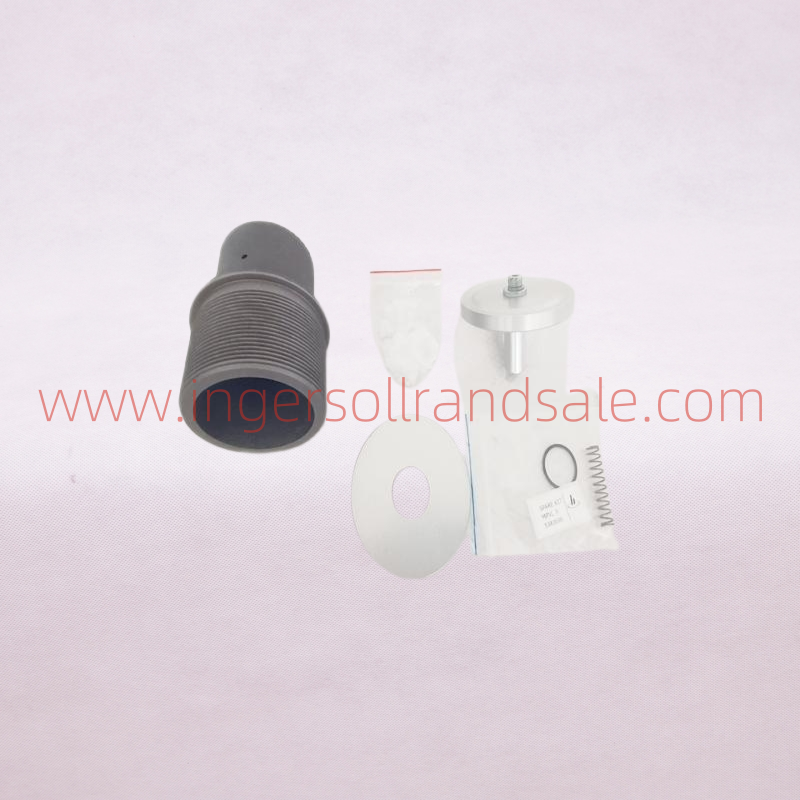 1388248 Hoerbiger Air Compressor OEM Parts MPVL3 Minimum Pressure Valve Repair Kit