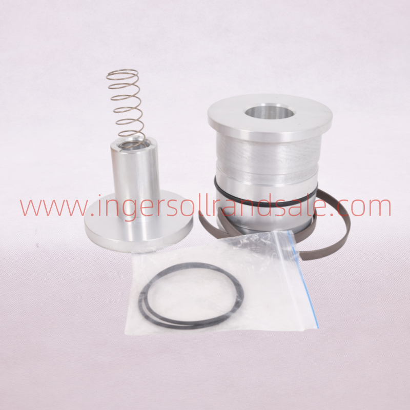 1902241 Hoerbiger Air Compressor OEM Parts MPVL80 Minimum Pressure Valve Repair Kit