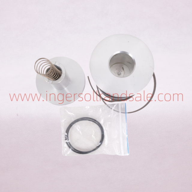 1902241 Hoerbiger Air Compressor OEM Parts MPVL80 Minimum Pressure Valve Repair Kit