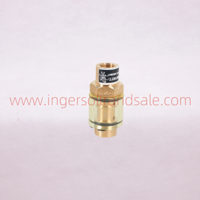 2.220.1800/2.220.1804/2.220.1822/2.220.1856 VMC Air Compressor OEM Parts Check Valve