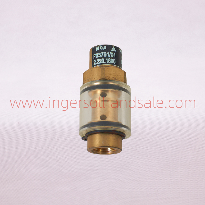 2.220.1800/2.220.1804/2.220.1822/2.220.1856 VMC Air Compressor OEM Parts Check Valve