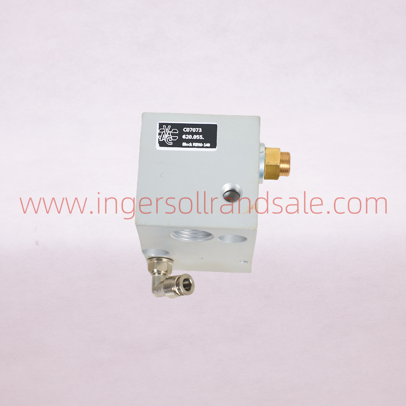 620.055 Italy VMC Air Compressor OEM Parts Inlet Valve RBC120P(Ir)