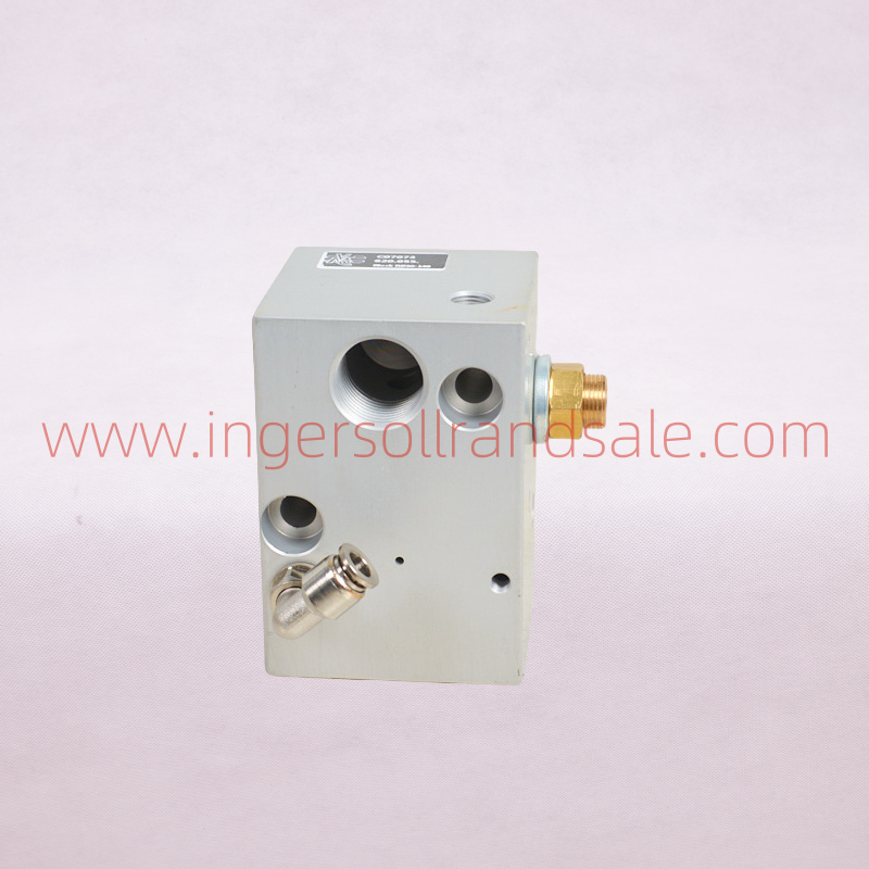 620.055 Italy VMC Air Compressor OEM Parts Inlet Valve RBC120P(Ir)