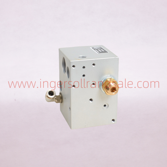 620.055 Italy VMC Air Compressor OEM Parts Inlet Valve RBC120P(Ir)