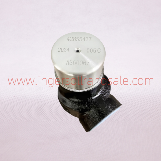 42855437 Ingersoll Rand Screw Air Compressor Genuine Parts Minimum Pressure Valve