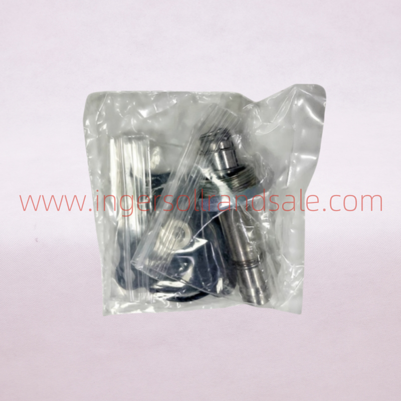 47687744001 Ingersoll Rand Screw Air Compressor Genuine Parts Solenoid Valve Repair Kit