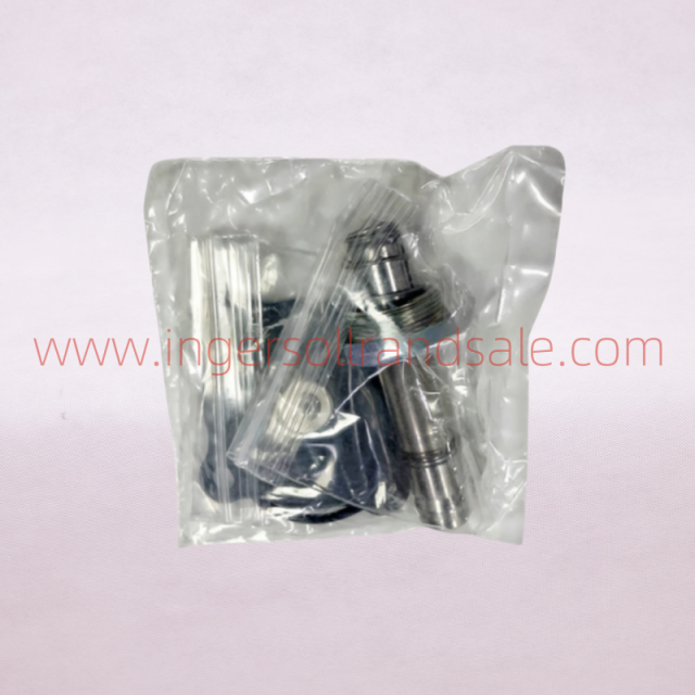47687744001 Ingersoll Rand Screw Air Compressor Genuine Parts Solenoid Valve Repair Kit