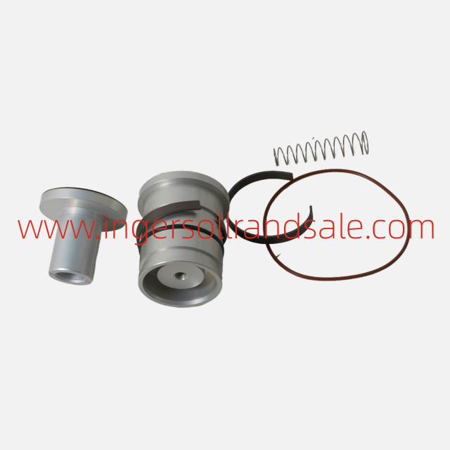100000896 Ingersoll Rand Gardner Denver Screw Air Compressor Genuine Parts Minimum Pressure Valve Repair Kit