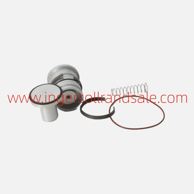 100000896 Ingersoll Rand Gardner Denver Screw Air Compressor Genuine Parts Minimum Pressure Valve Repair Kit
