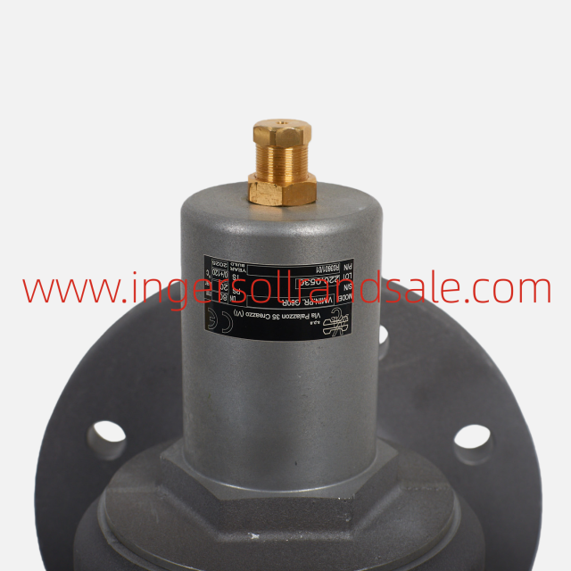 220.0530 Italy VMC Air Compressor OEM Parts Minimum Pressure Valve G60R/DN80-100