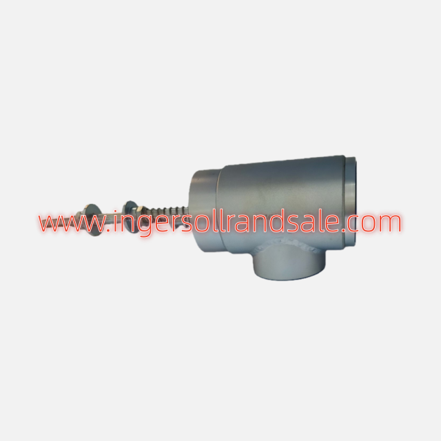 22699821=54386594=22475354=54386610=54386578 Ingersoll Rand Screw Air Compressor Genuine Parts Air Relief Valve