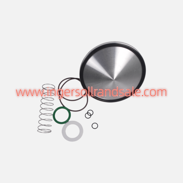 50780000-019 SCR Screw Air Compressor Genuine Parts Inlet Valve Kit