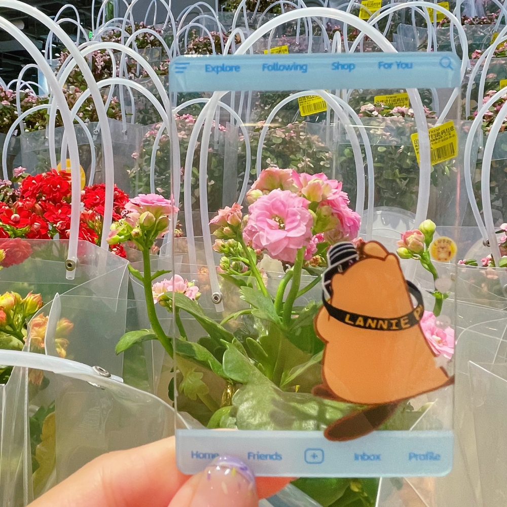 Lannie Acrylic Transparent Card