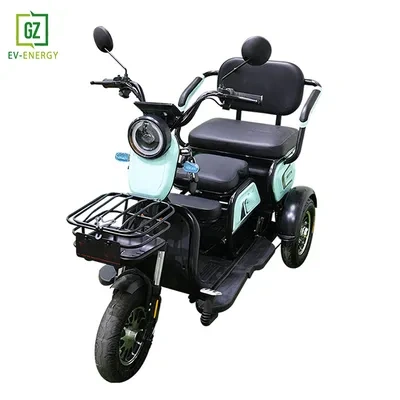 2024 New Leisure Electric Tricycle