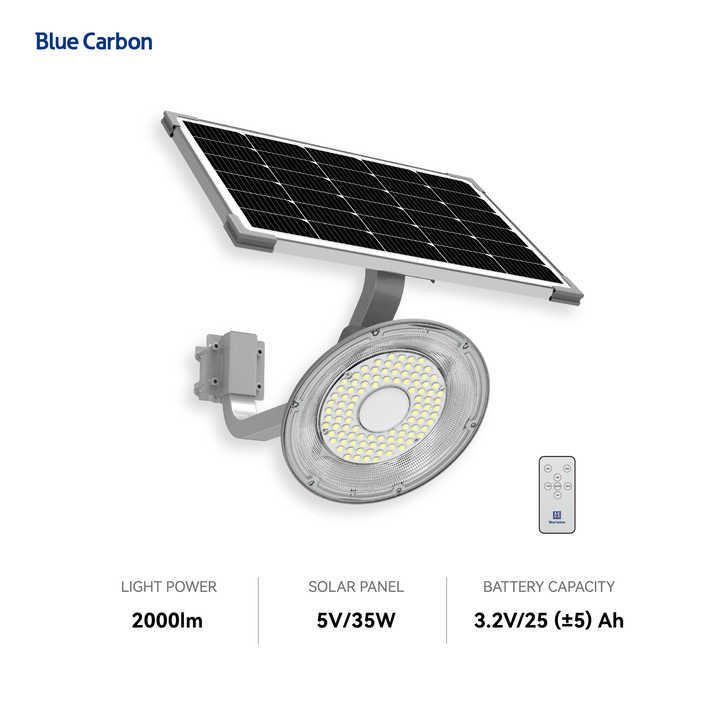 Blue Carbon Hot Selling Solar Flood Light with Remoter Led Street Light Price Solar Outdoor Garden Light