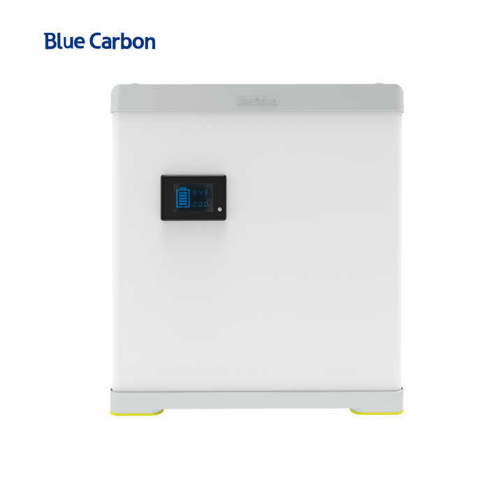 BLUE CARBON 2024 Hot Selling 48v 100ah Lifepo4 Lithium-ion Batteries for Solar Systems