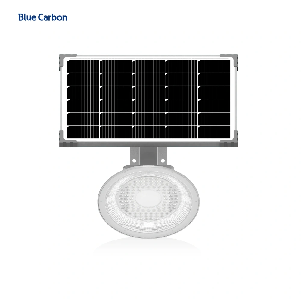 2025 New Garden Lights Solar Powered Waterproof IP65 Street Light Hot Sale Wholesale Price Cree LED Blue Carbon Solar Light