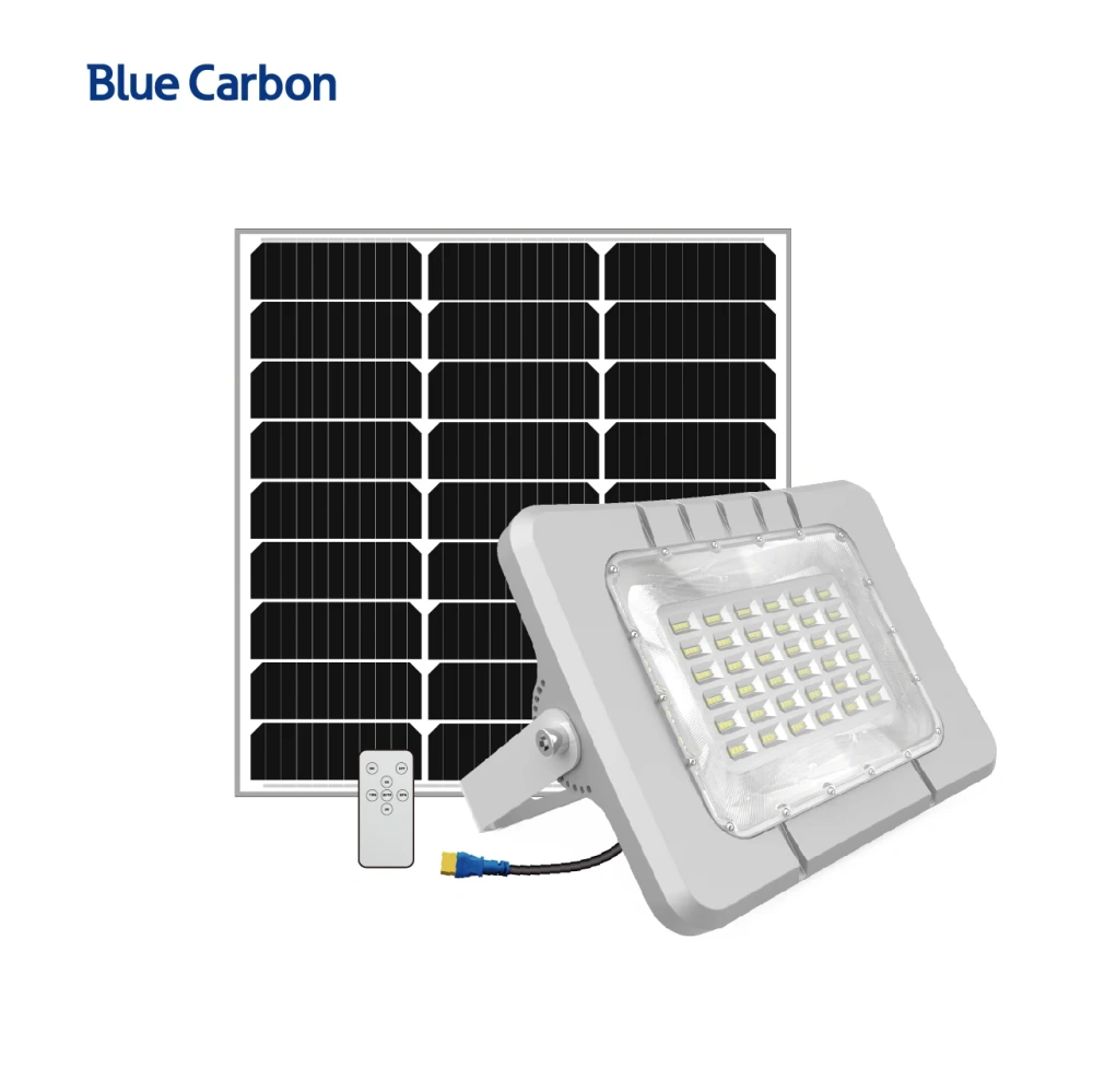 Blue Carbon 10 Years Warranty 3600lm Solar Rechargeable Light Outdoor Solar Powered Street Light Lamp Waterproof