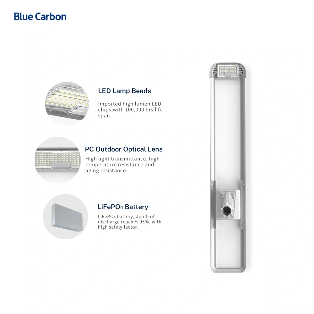 Blue Carbon 2024 New Design 10 Years Warranty Outdoor Waterproof All in One Street Street Light