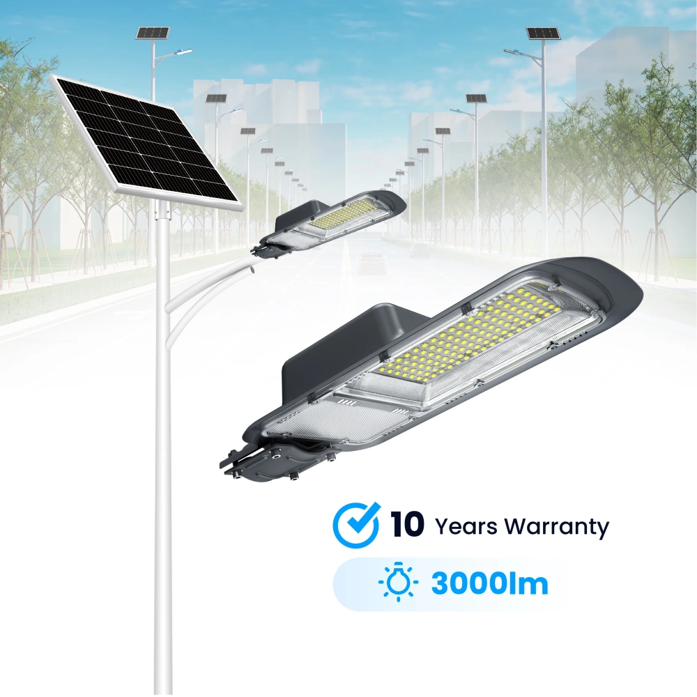 Blue Carbon Hot Sale Solar Street Lamp With Remote Control 10 Years Warranty 30W LED Solar Street Light