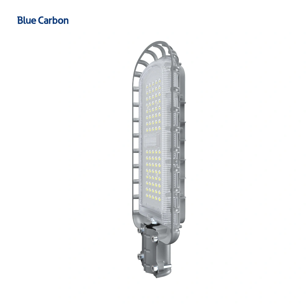 Blue Carbon High Quality IP66 Waterproof 50W Solar Panel Built-in Lithium Ion Battery 24W Outdoor Solar LED Street Light