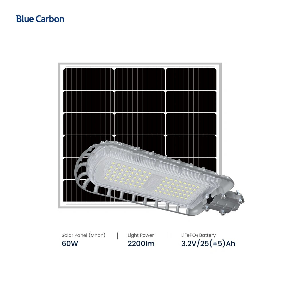 Blue Carbon High Quality IP66 Waterproof 50W Solar Panel Built-in Lithium Ion Battery 24W Outdoor Solar LED Street Light