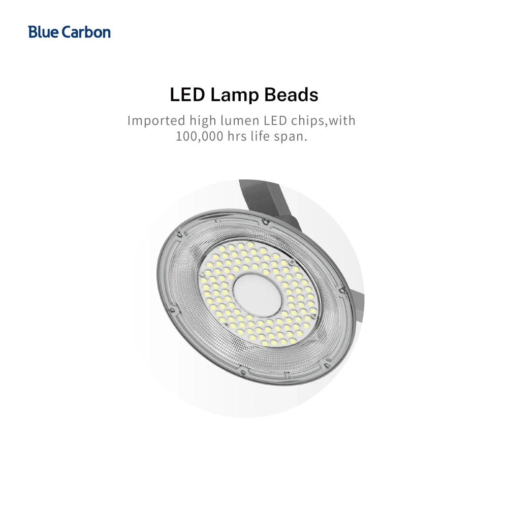 Blue Carbon Hot Selling Solar Flood Light with Remoter Led Street Light Price Solar Outdoor Garden Light