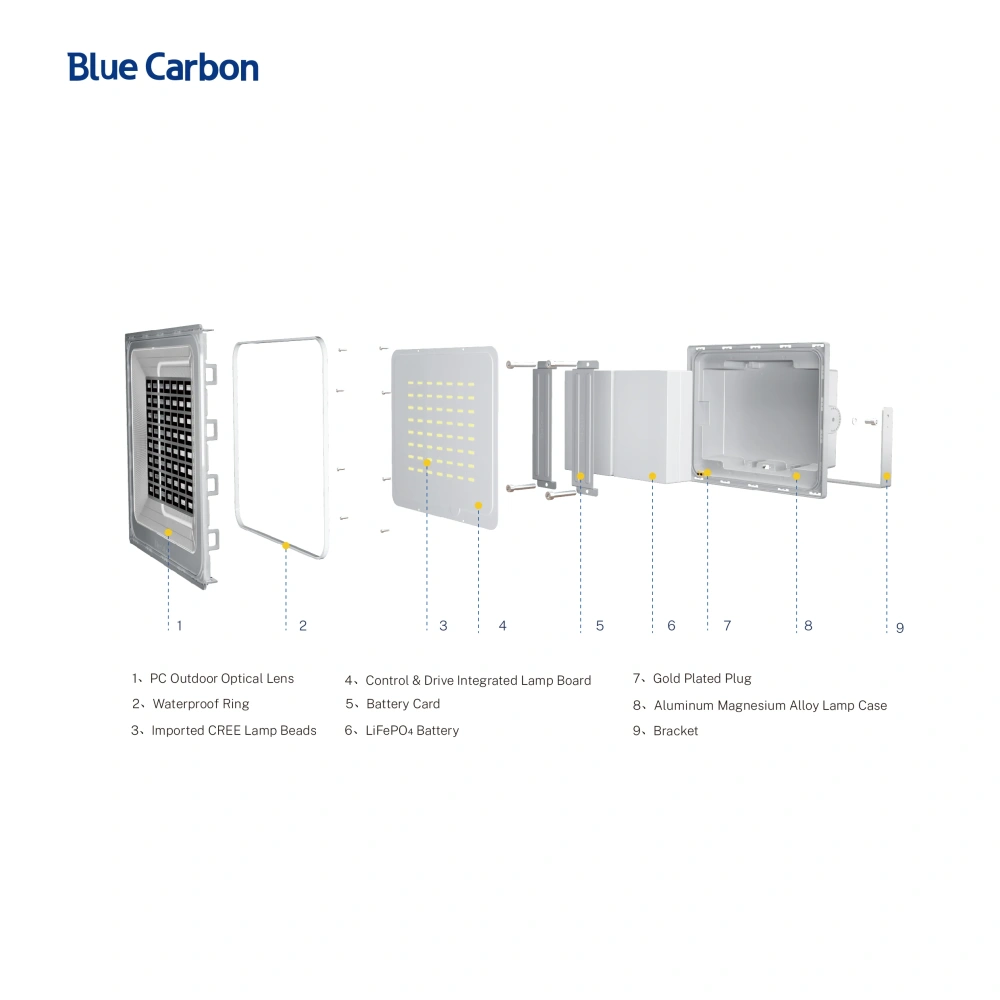 3000lumen High Brightness Solar Flood Light With Best Price  From Blue Carbon Factory