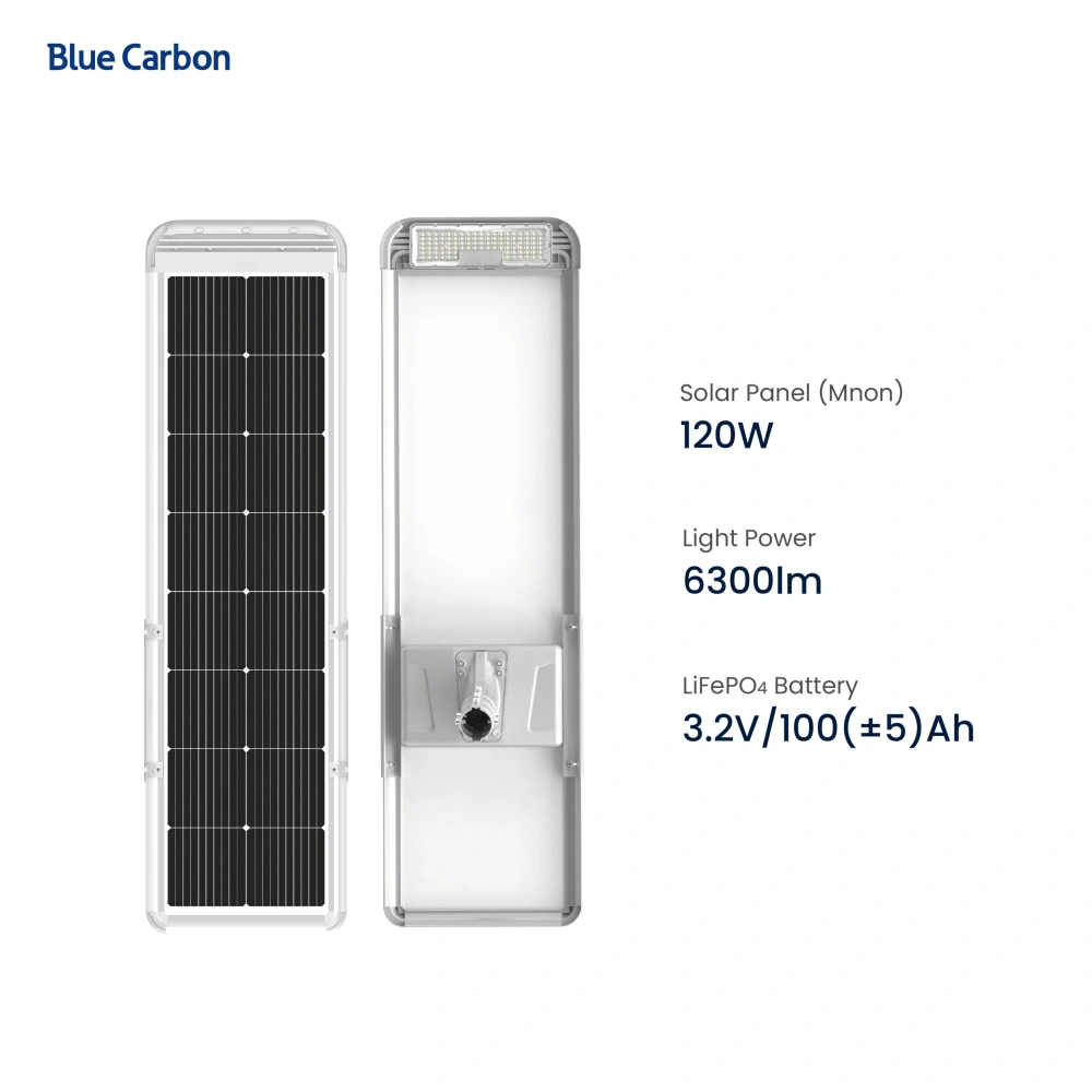 Blue Carbon High Quality Outdoor Waterproof All in One 60W Street Lamp Integrated Solar Street Light