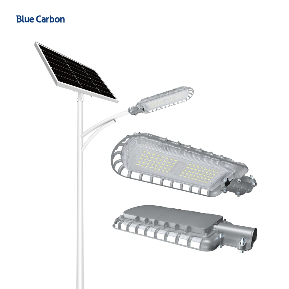 Blue Carbon High Quality IP66 Waterproof 50W Solar Panel Built-in Lithium Ion Battery 24W Outdoor Solar LED Street Light