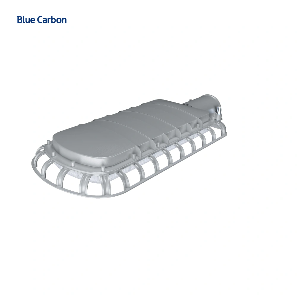 Blue Carbon High Quality IP66 Waterproof 50W Solar Panel Built-in Lithium Ion Battery 24W Outdoor Solar LED Street Light