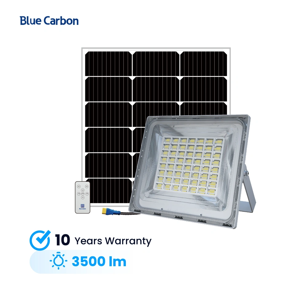 3000lumen High Brightness Solar Flood Light With Best Price  From Blue Carbon Factory
