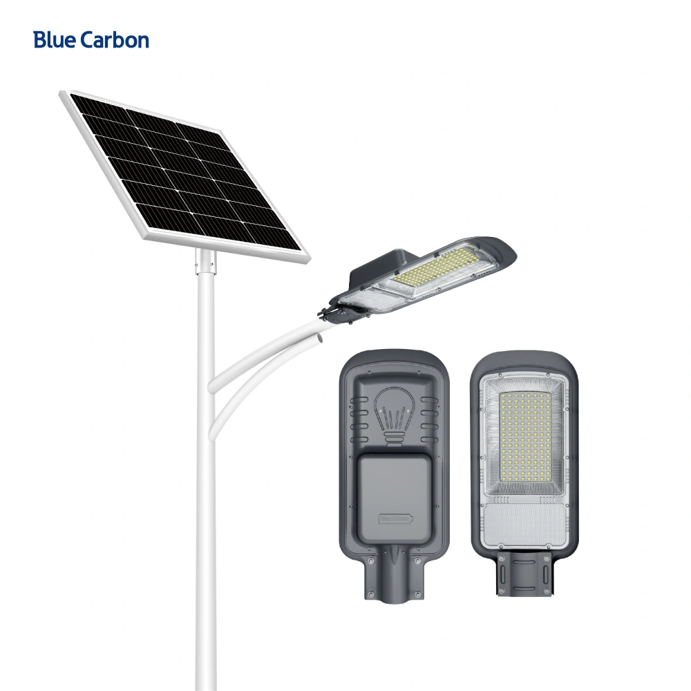 Blue Carbon Hot Sale Solar Street Lamp With Remote Control 10 Years Warranty 30W LED Solar Street Light