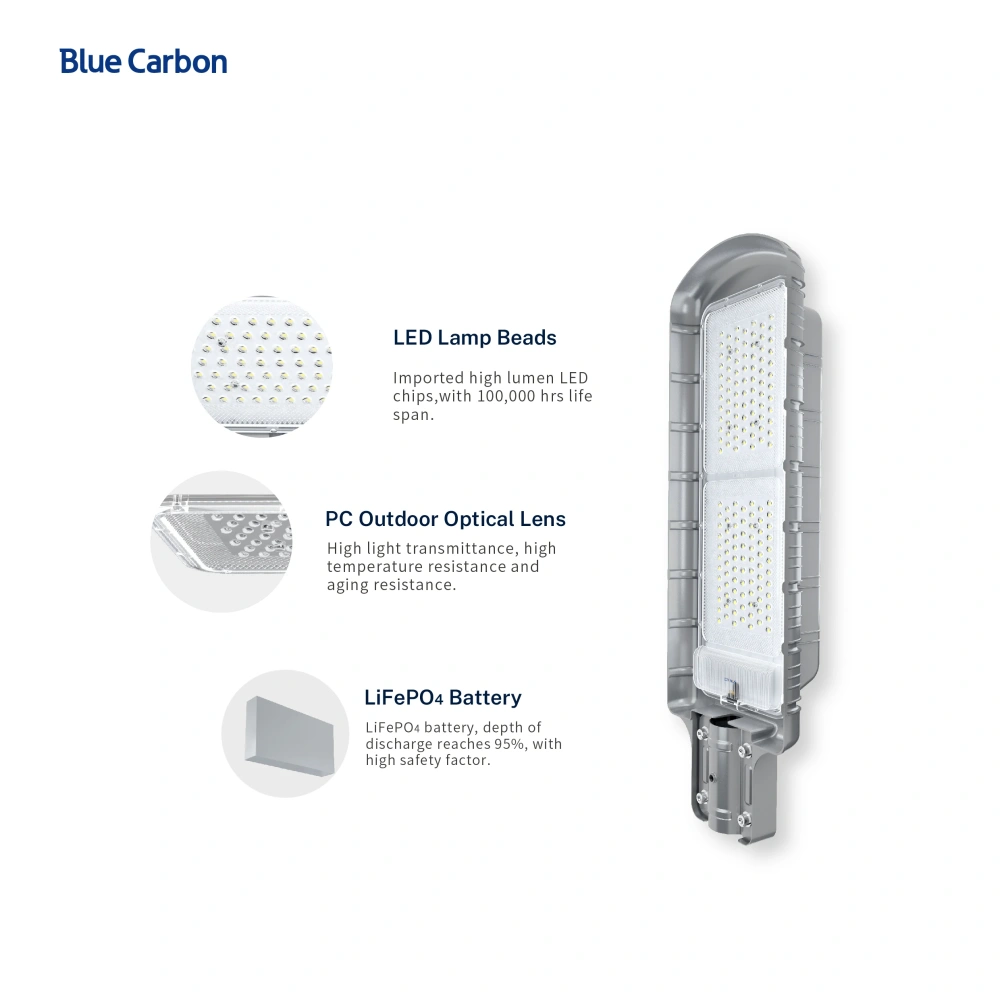 Blue Carbon 160W Solar Panel Light with LiFePO4 Battery Outdoor Lights 80W Solar LED Lamp