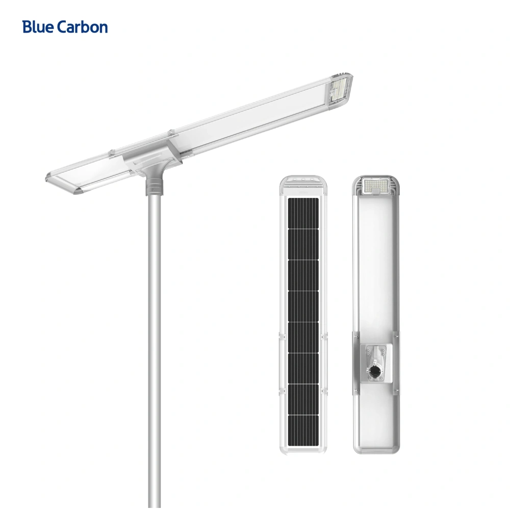 Blue Carbon 2024 New Design 10 Years Warranty Outdoor Waterproof All in One Street Street Light