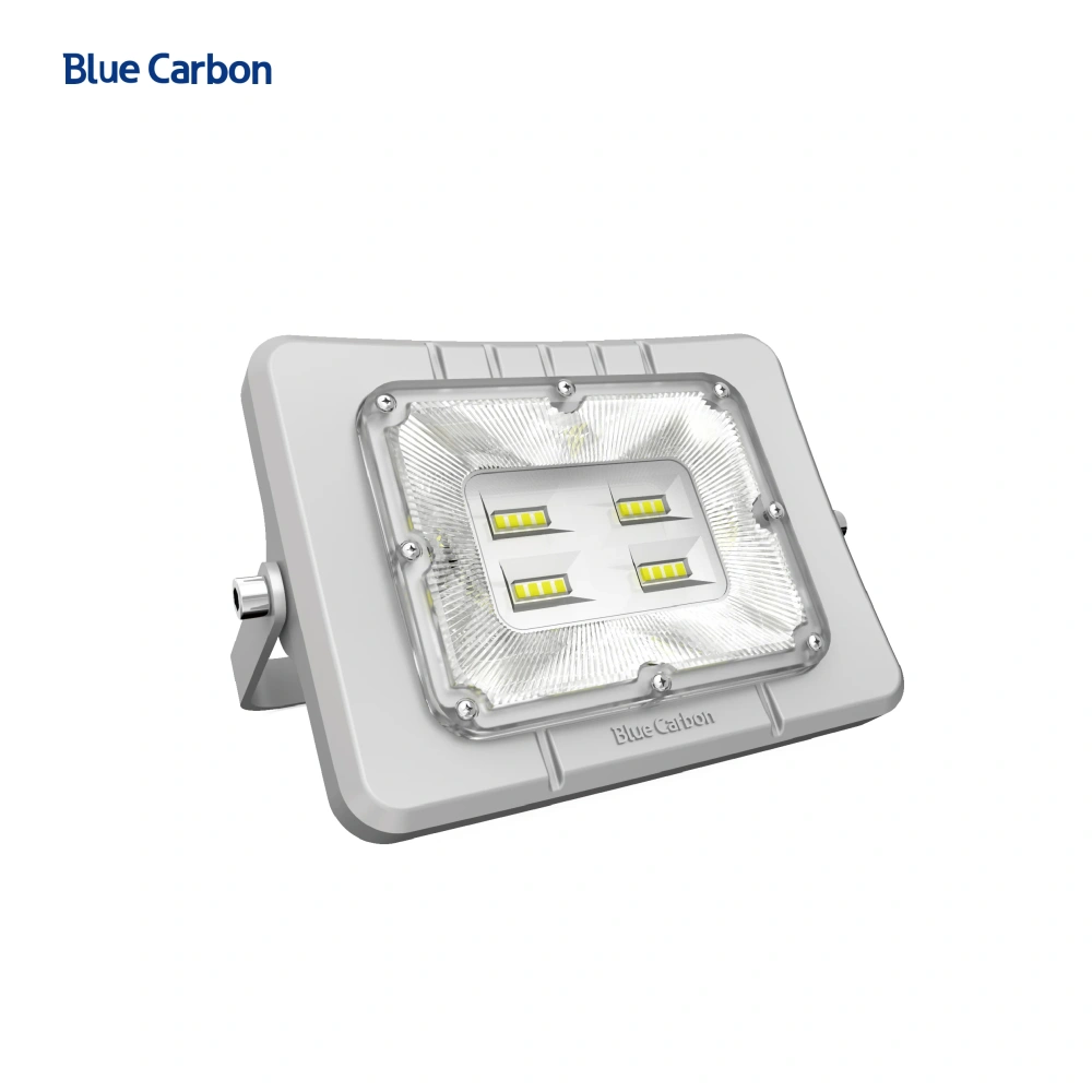 800LM Outdoor Solar Powered LED Flood Light Remote Control IP65 Waterproof 100W-500W with ROHS Certification