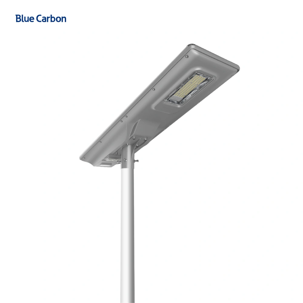 Blue Carbon Lighting Outdoor Ip66 Waterproof SMD 100w Solar Panel All in One Integrated Solar Led Street Light