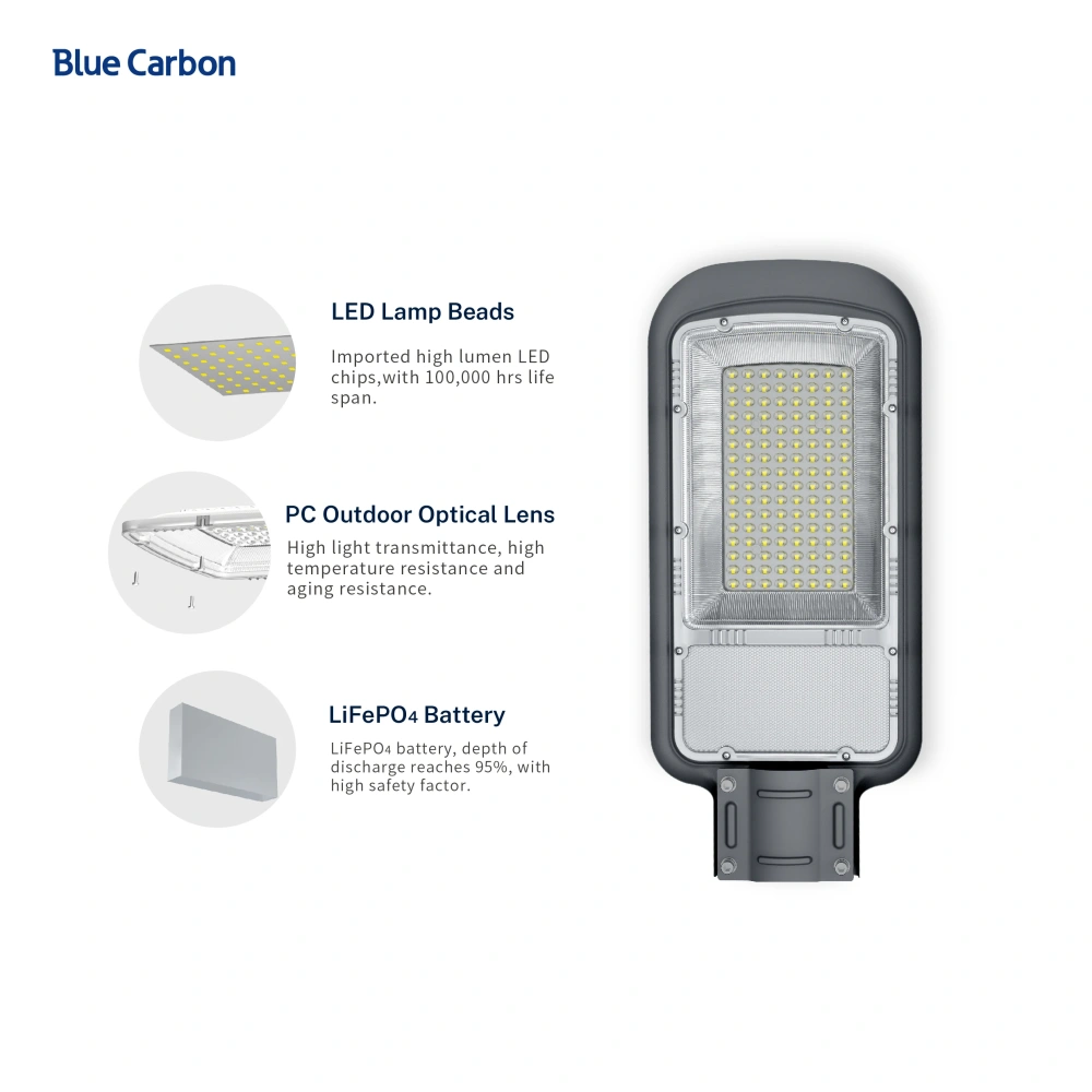 Blue Carbon 45w 60W Mono Solar Panel Factory Whosale 10 Years Warranty 30W LED Solar Street Light