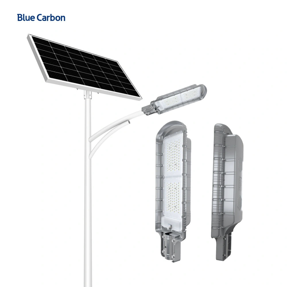Blue Carbon 160W Solar Panel Light with LiFePO4 Battery Outdoor Lights 80W Solar LED Lamp