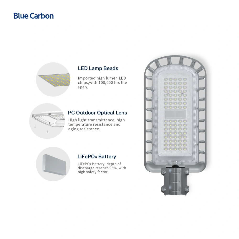 Blue Carbon High Quality IP66 Waterproof 50W Solar Panel Built-in Lithium Ion Battery 24W Outdoor Solar LED Street Light