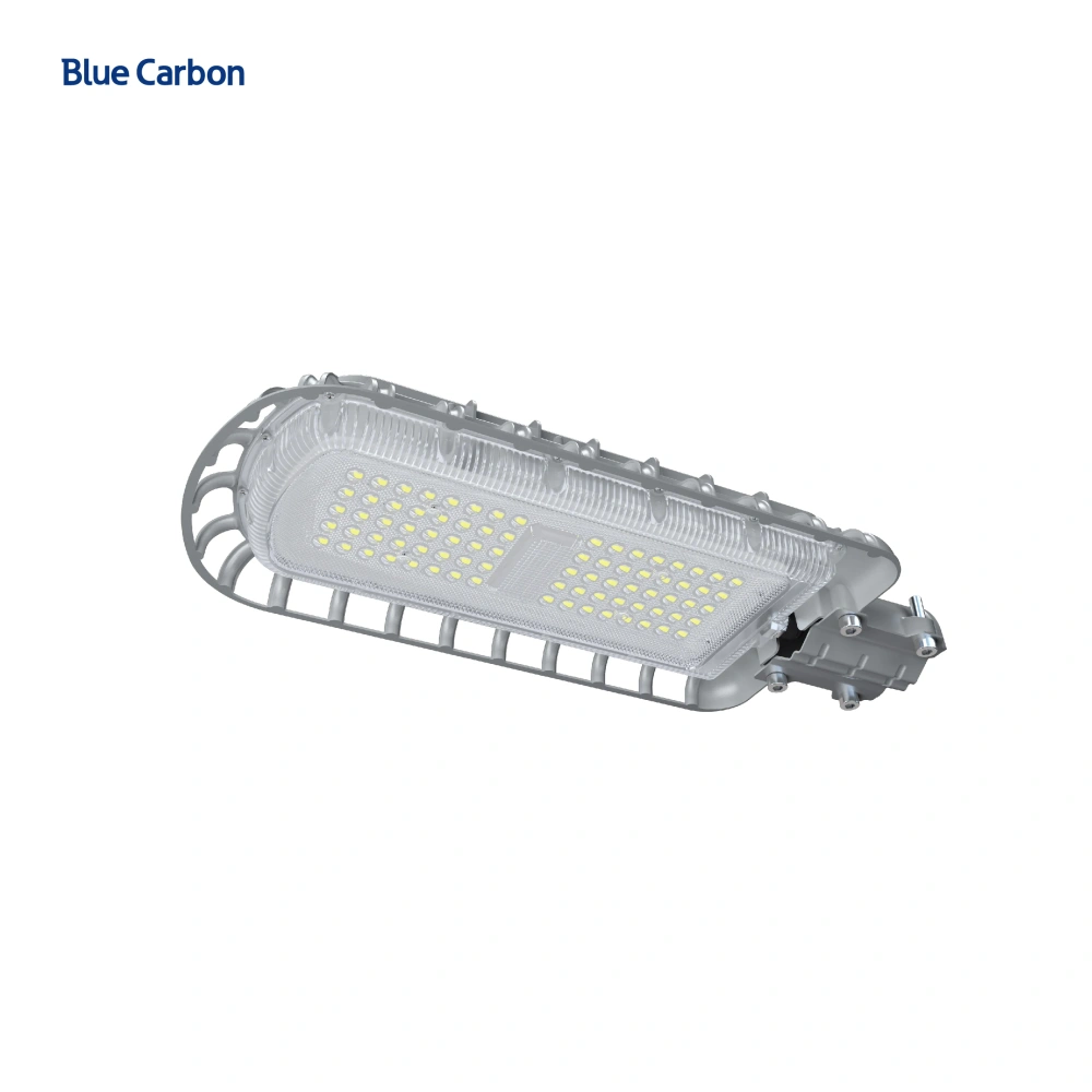 Blue Carbon ROSH CE Certified Light Manufacturers IP66 Outdoor Solar Street Light 24W LED Light Factory