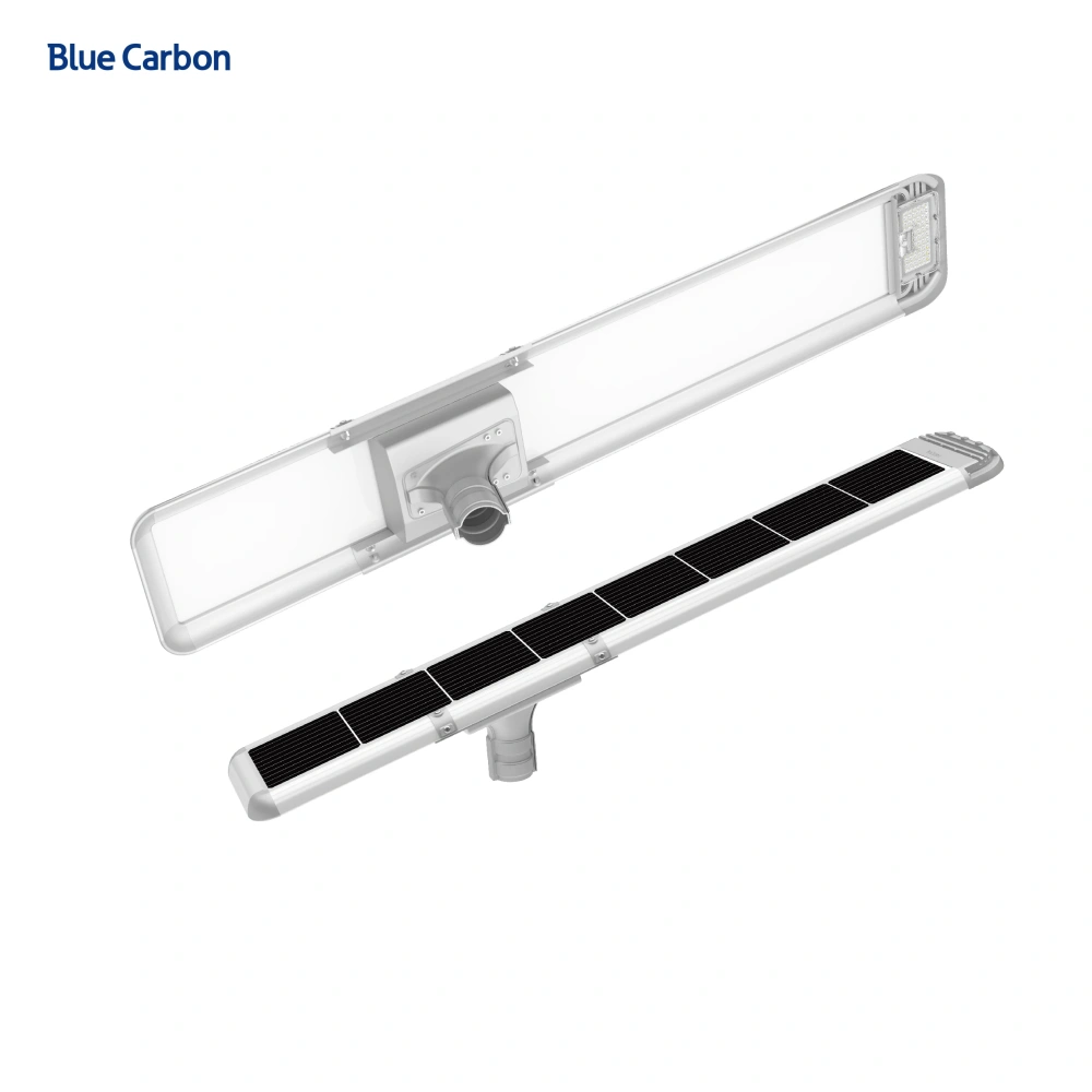 Blue Carbon 2024 New Design 10 Years Warranty Outdoor Waterproof All in One Street Street Light