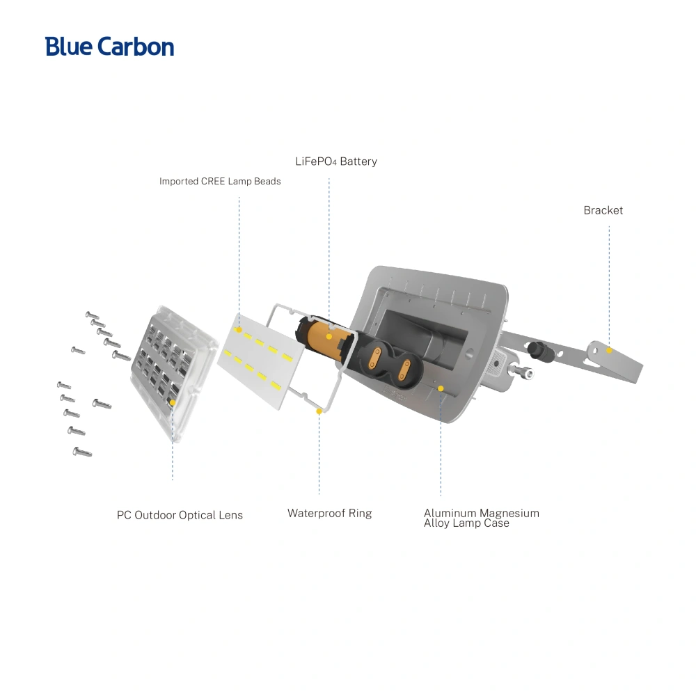 Blue Carbon 1000Lm Led Solar Powered Flood Lights Solar Lighting Outdoor Flood Solar Light for Billboard