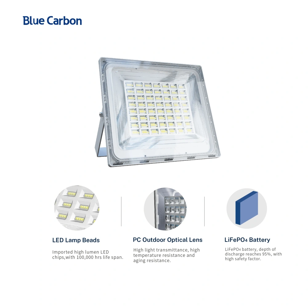3000lumen High Brightness Solar Flood Light With Best Price  From Blue Carbon Factory