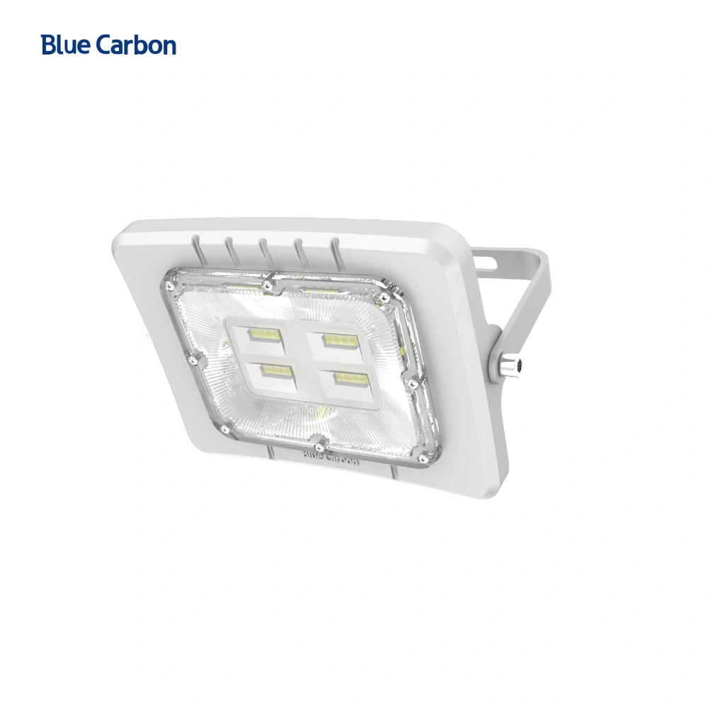 800LM Outdoor Solar Powered LED Flood Light Remote Control IP65 Waterproof 100W-500W with ROHS Certification